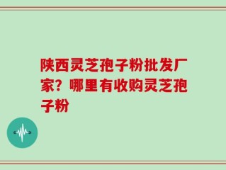 陕西灵芝孢子粉批发厂家？哪里有收购灵芝孢子粉