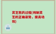 灵芝熬药过程(炖制灵芝的正确姿势，提高功效)