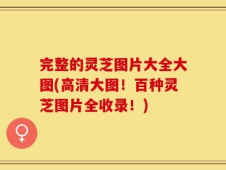 完整的灵芝图片大全大图(高清大图！百种灵芝图片全收录！)