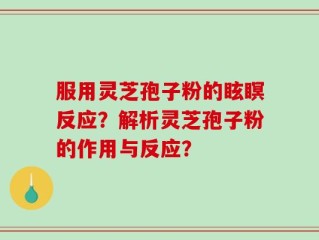 服用灵芝孢子粉的眩瞑反应？解析灵芝孢子粉的作用与反应？