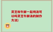灵芝和牛脚一起炖汤可以吗灵芝牛脚汤的制作方法)
