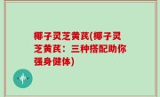椰子灵芝黄芪(椰子灵芝黄芪：三种搭配助你强身健体)