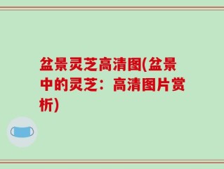 盆景灵芝高清图(盆景中的灵芝：高清图片赏析)