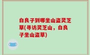 白良子到哪坐山盗灵芝草(寻访灵芝山，白良子坐山盗草)