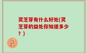 灵芝芽有什么好处(灵芝芽的益处你知道多少？)