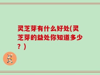 灵芝芽有什么好处(灵芝芽的益处你知道多少？)