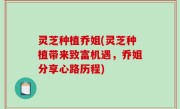 灵芝种植乔姐(灵芝种植带来致富机遇，乔姐分享心路历程)