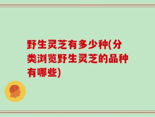 野生灵芝有多少种(分类浏览野生灵芝的品种有哪些)