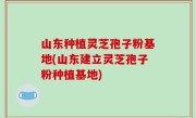 山东种植灵芝孢子粉基地(山东建立灵芝孢子粉种植基地)
