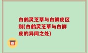 白鹤灵芝草与白鲜皮区别(白鹤灵芝草与白鲜皮的异同之处)