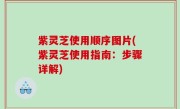 紫灵芝使用顺序图片(紫灵芝使用指南：步骤详解)
