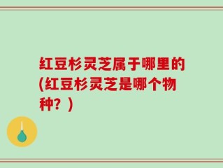 红豆杉灵芝属于哪里的(红豆杉灵芝是哪个物种？)