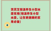 煲灵芝恒温养生小型水壶家用(恒温养生小型水壶，让你更健康的家用必备)