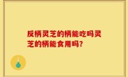 反柄灵芝的柄能吃吗灵芝的柄能食用吗？