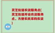 灵芝街道农资服务点(灵芝街道开设农资服务点，方便农民采购农资)