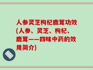 人参灵芝枸杞鹿茸功效(人参、灵芝、枸杞、鹿茸——四味中药的效用简介)
