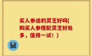 买人参送的灵芝好吗(购买人参搭配灵芝好处多，值得一试！)