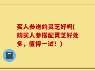 买人参送的灵芝好吗(购买人参搭配灵芝好处多，值得一试！)