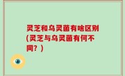 灵芝和乌灵菌有啥区别(灵芝与乌灵菌有何不同？)