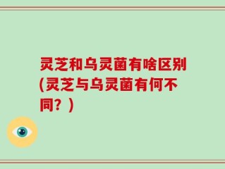灵芝和乌灵菌有啥区别(灵芝与乌灵菌有何不同？)
