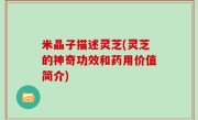 米晶子描述灵芝(灵芝的神奇功效和药用价值简介)