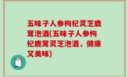 五味子人参枸杞灵芝鹿茸泡酒(五味子人参枸杞鹿茸灵芝泡酒，健康又美味)