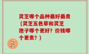 灵芝哪个品种最好最贵 (灵芝五色草和灵芝孢子哪个更好？价钱哪个更贵？)