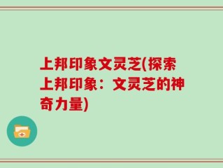 上邦印象文灵芝(探索上邦印象：文灵芝的神奇力量)