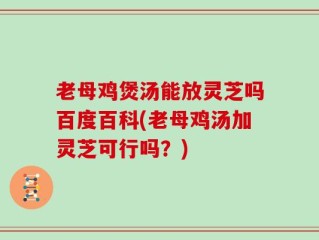 老母鸡煲汤能放灵芝吗百度百科(老母鸡汤加灵芝可行吗？)
