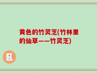 黄色的竹灵芝(竹林里的仙草——竹灵芝)