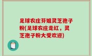 足球农庄芬姐灵芝孢子粉(足球农庄走红，灵芝孢子粉大受欢迎)