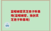 蓝帽破壁灵芝孢子粉基地(蓝帽破壁，独创灵芝孢子粉基地)