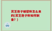 灵芝孢子破壁粉怎么来的(灵芝孢子粉如何制备？)