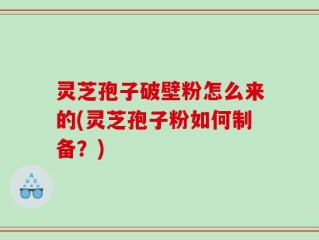 灵芝孢子破壁粉怎么来的(灵芝孢子粉如何制备？)