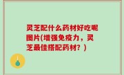 灵芝配什么药材好吃呢图片(增强免疫力，灵芝最佳搭配药材？)