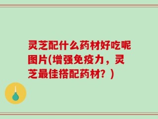 灵芝配什么药材好吃呢图片(增强免疫力，灵芝最佳搭配药材？)