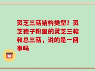 灵芝三萜结构类型？灵芝孢子粉里的灵芝三萜和总三萜，说的是一回事吗
