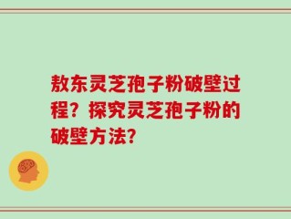 敖东灵芝孢子粉破壁过程？探究灵芝孢子粉的破壁方法？