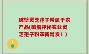 破壁灵芝孢子粉属于农产品(破解神秘农业灵芝孢子粉革新出发！)
