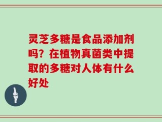 灵芝多糖是食品添加剂吗？在植物真菌类中提取的多糖对人体有什么好处
