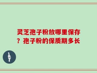 灵芝孢子粉放哪里保存？孢子粉的保质期多长