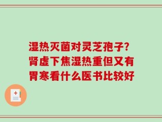 湿热灭菌对灵芝孢子？肾虚下焦湿热重但又有胃寒看什么医书比较好