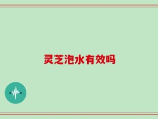 灵芝泡水有效吗