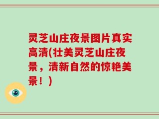 灵芝山庄夜景图片真实高清(壮美灵芝山庄夜景，清新自然的惊艳美景！)