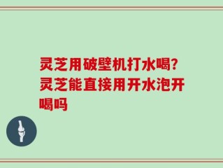 灵芝用破壁机打水喝？灵芝能直接用开水泡开喝吗