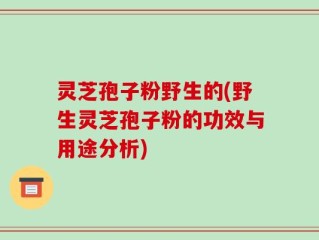 灵芝孢子粉野生的(野生灵芝孢子粉的功效与用途分析)