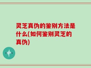 灵芝真伪的鉴别方法是什么(如何鉴别灵芝的真伪)