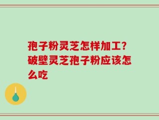 孢子粉灵芝怎样加工？破壁灵芝孢子粉应该怎么吃