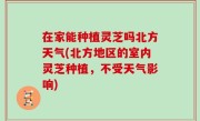 在家能种植灵芝吗北方天气(北方地区的室内灵芝种植，不受天气影响)