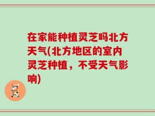 在家能种植灵芝吗北方天气(北方地区的室内灵芝种植，不受天气影响)